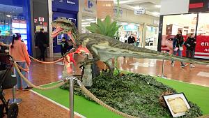 99 toulon carrefour Mayol  (12)